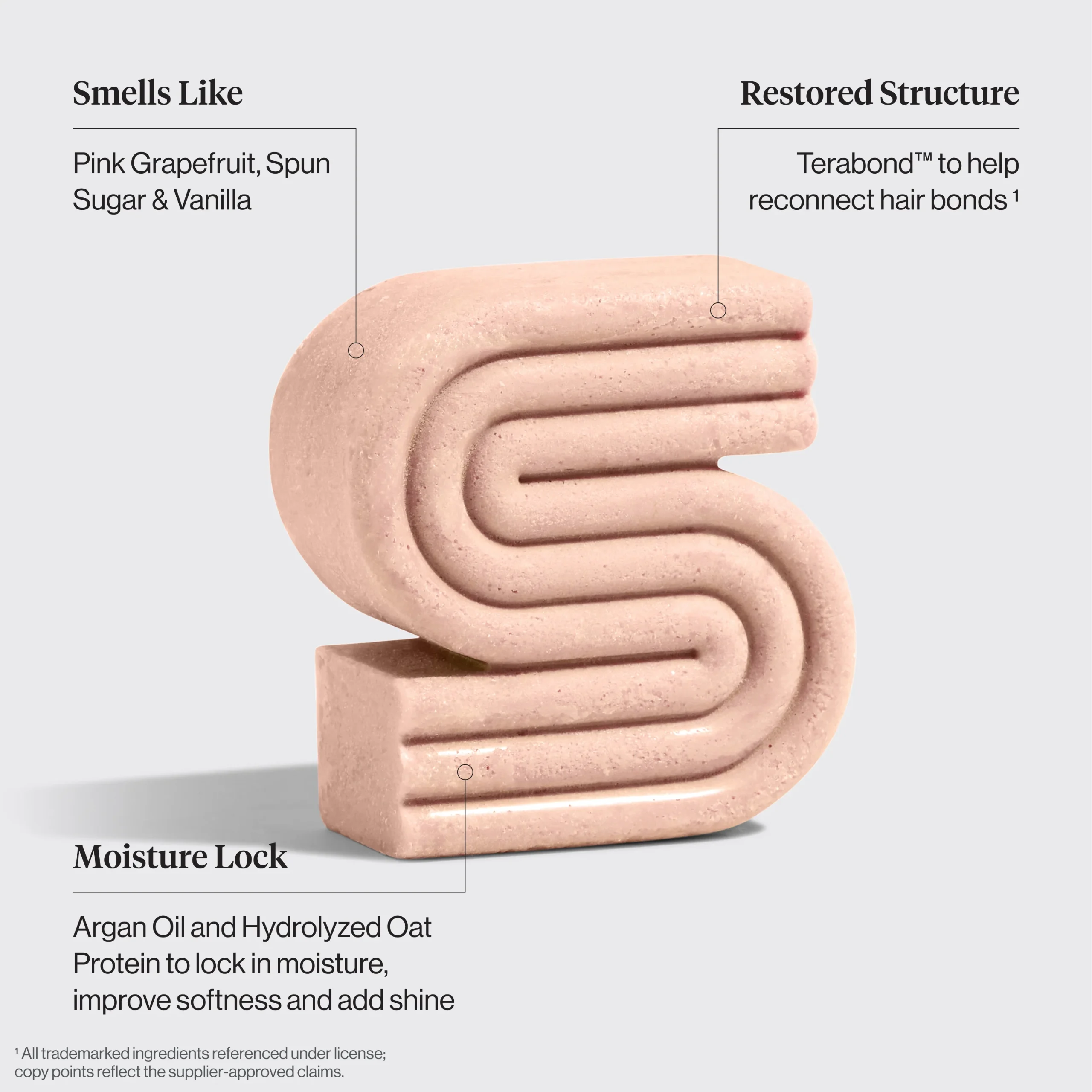 Repairing Argan Oil Shampoo & Conditioner + Leave In Conditioner Bundle – Image 2